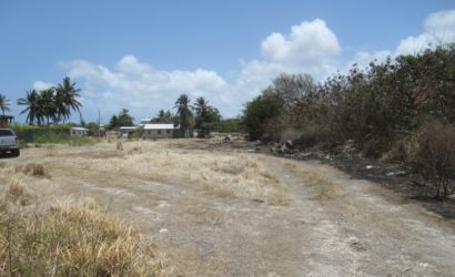 Land for Sale ~ Foul Bay, St Philip